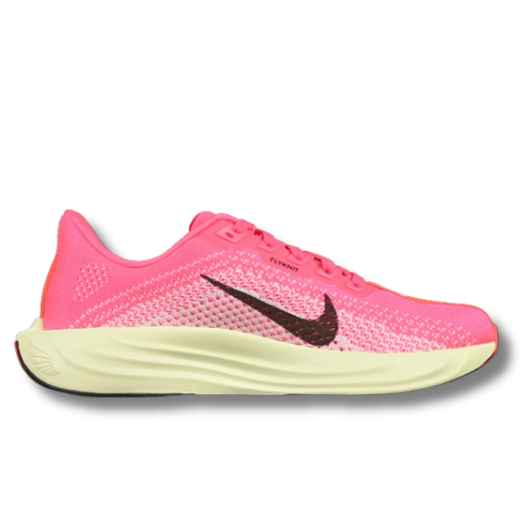 Pink Nice Pegasus