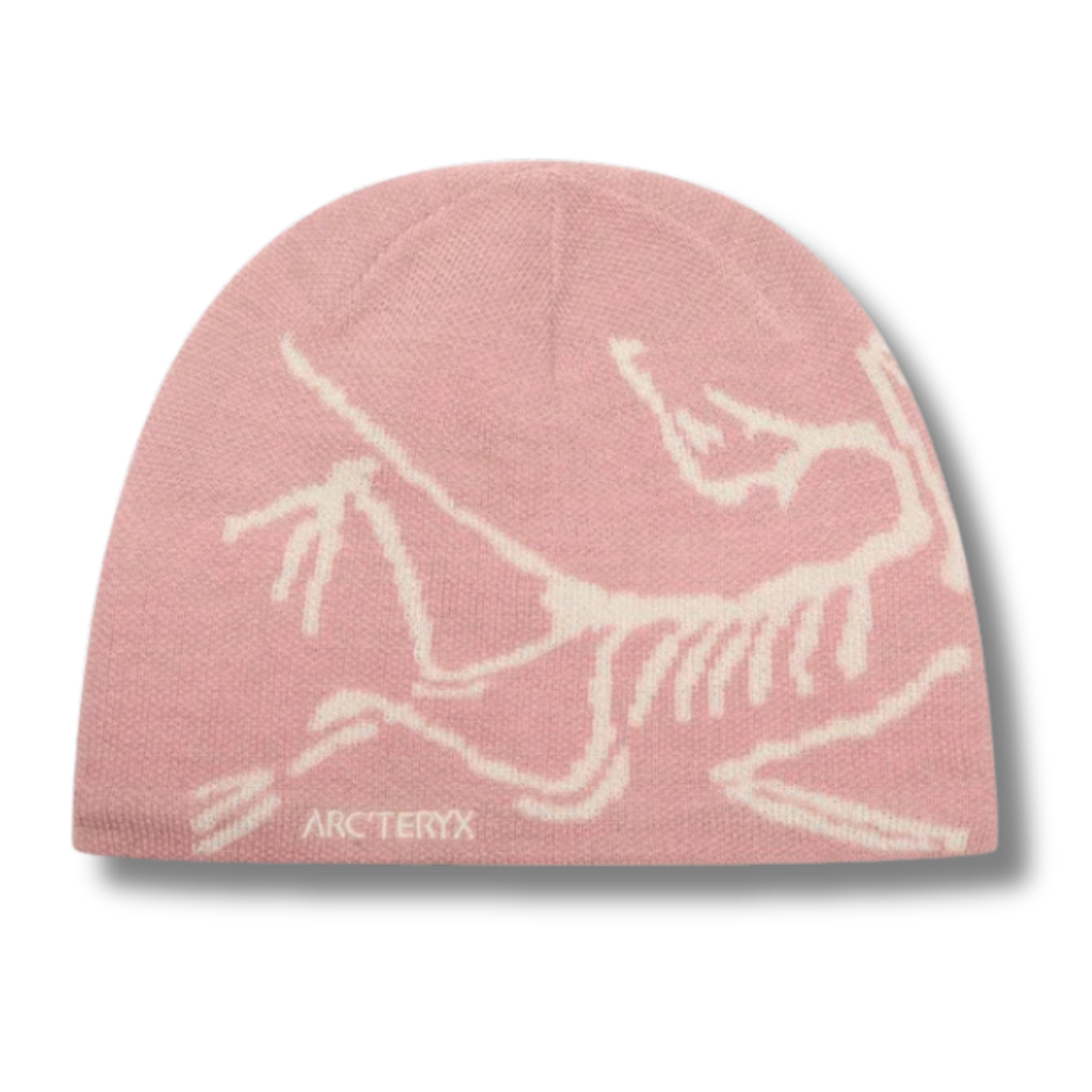 Arc' Beanie Pink