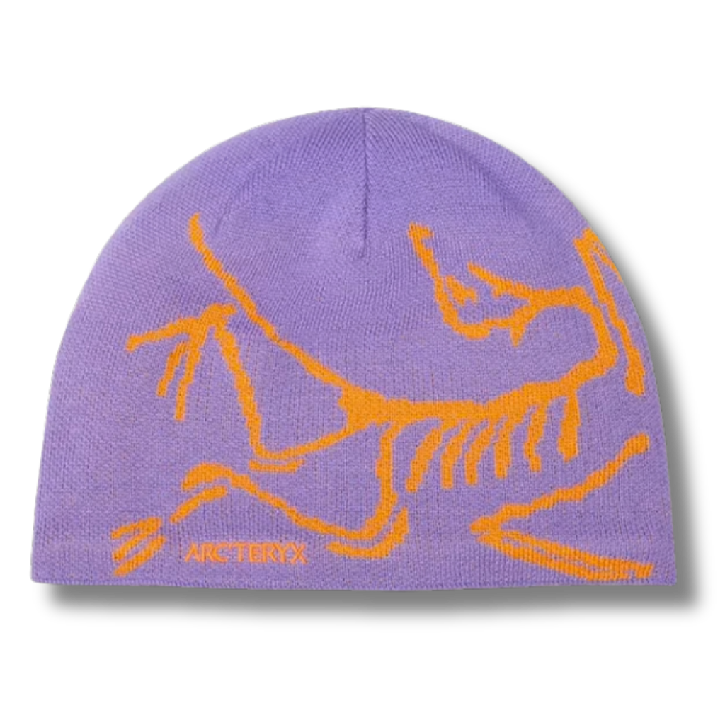 Arc' Beanie Purple
